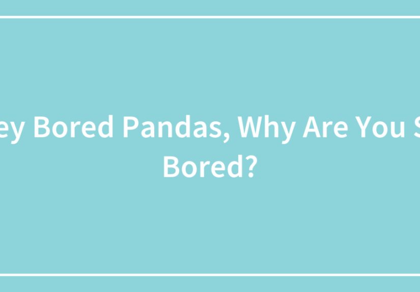 Hey s, Why Are You So Bored?