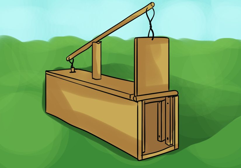 How to Build a Box Trap: 13 Steps