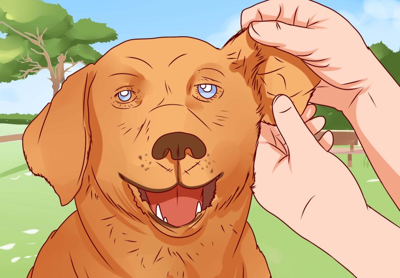 How to Know if You Have Ringworm: Recognizing the Symptoms