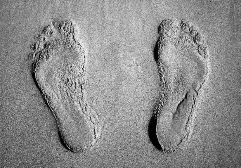 Human Migration History: Ancient Human Footprints in Saudi Arabia