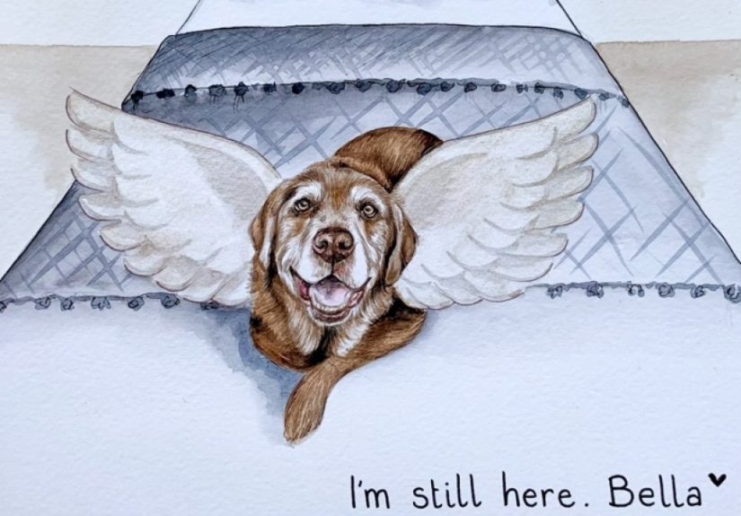 I Paint Dogs As Guardian Angels (12 Pics)