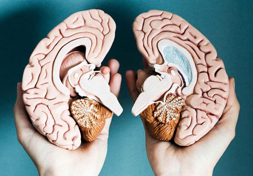 Multiple sclerosis: Brain barrier inflammation may play role