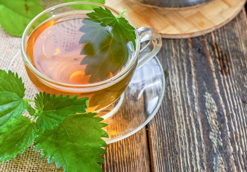 Nettle Tea: 4 Health Benefits, How to Make Your Own, and a Warning