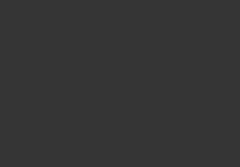 Onyx 2133-10 Paint