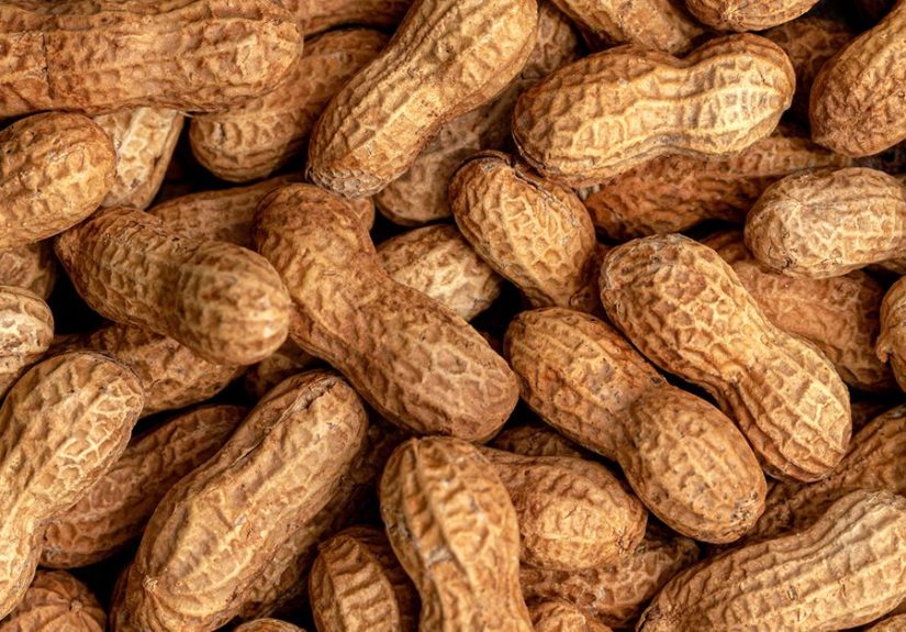 Peanut Allergies Drop After Early Introduction Guidelines, Study Finds