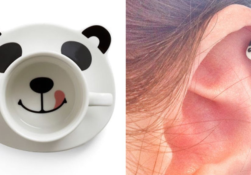 Post Things Every Panda Lover Would Die To Get