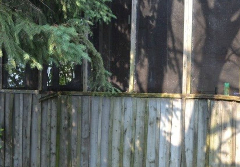 Screen Porch Renovation