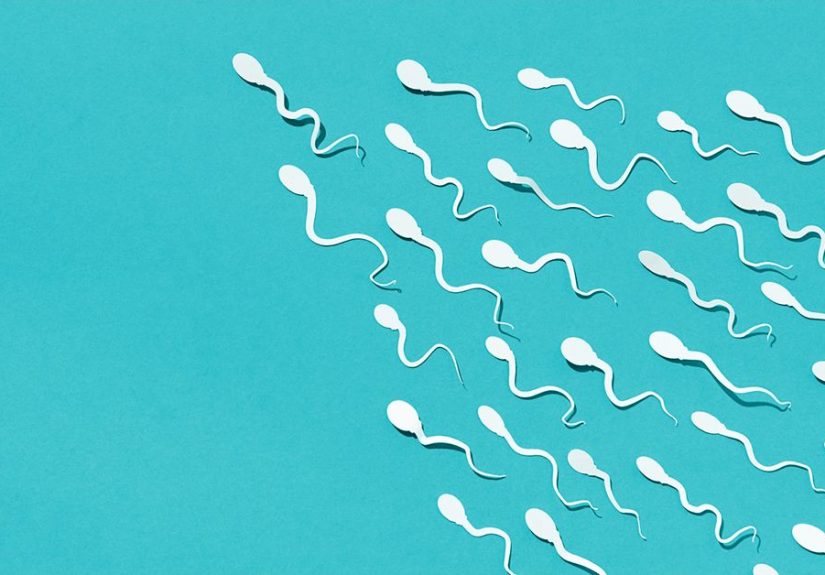 Semen Smell: Why It’s Fishy, Like Chlorine or Rotten Eggs, More