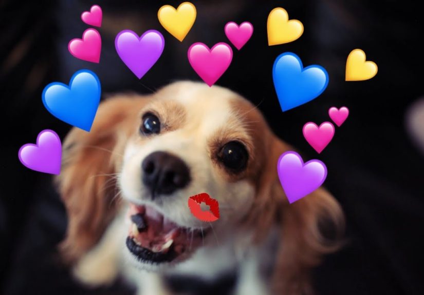 Send This To Your Crush On Valentine’s Day