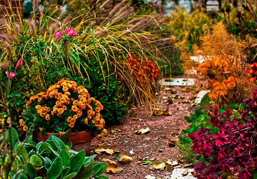 Stop Mold Before It Starts: 5 Fall Habits to Adjust Now