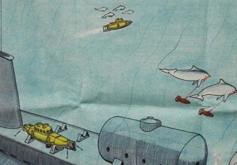 The CIA Once Wanted to Use Dolphins to Sink Enemy Ships