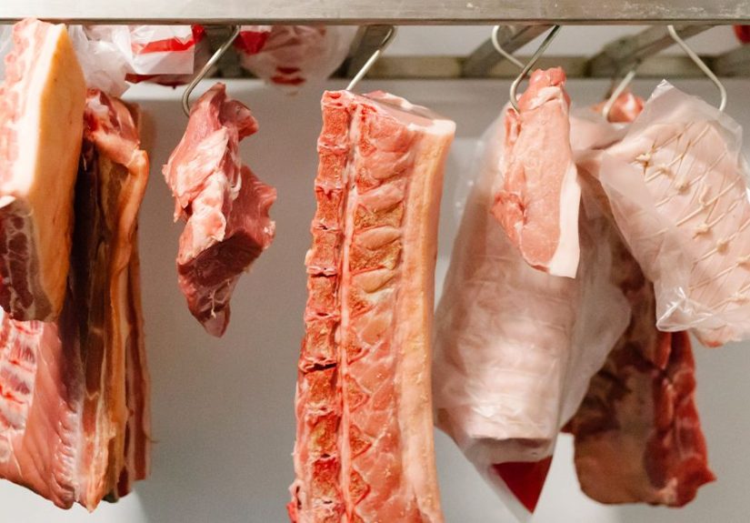 The Lion Diet: What Is It, and Is It Safe?