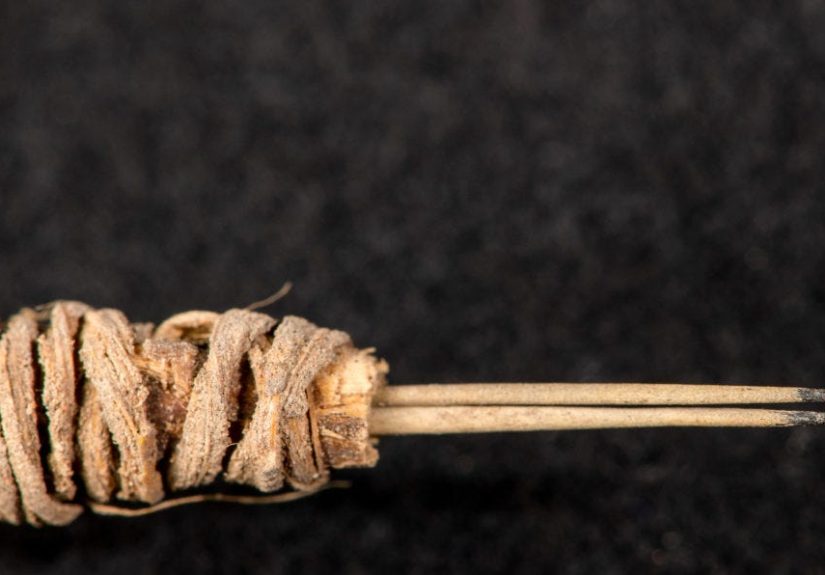 The United States' Oldest Tattoo Needle Is an Inked-Up Cactus Spine
