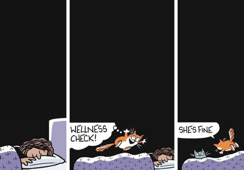 This Artist Sums Up Life With A Cat In His 40 Funny Cartoons
