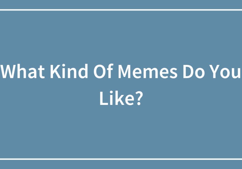 What Kind Of Memes Do You Like?