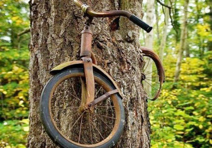 A Boy Chained His Bike When He Went to War in 1914