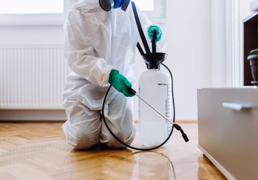 Abell Pest Control Review