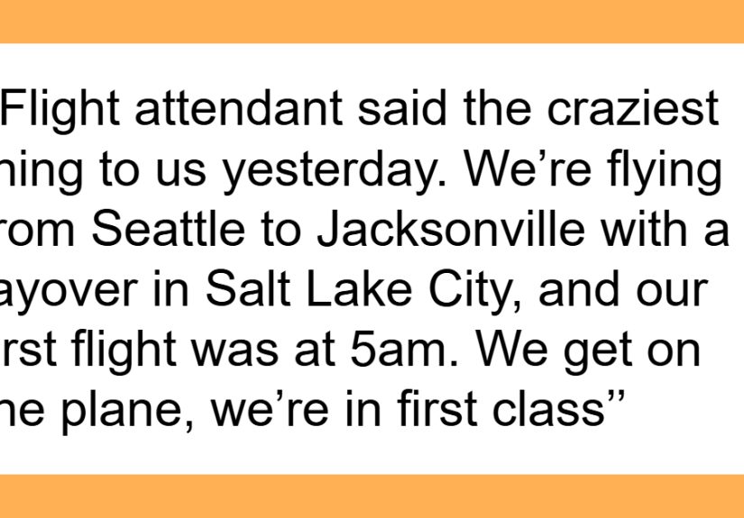 “Are You Serious?”: Woman Is Told She Might Need To Get Off Plane Over Meowing Cat