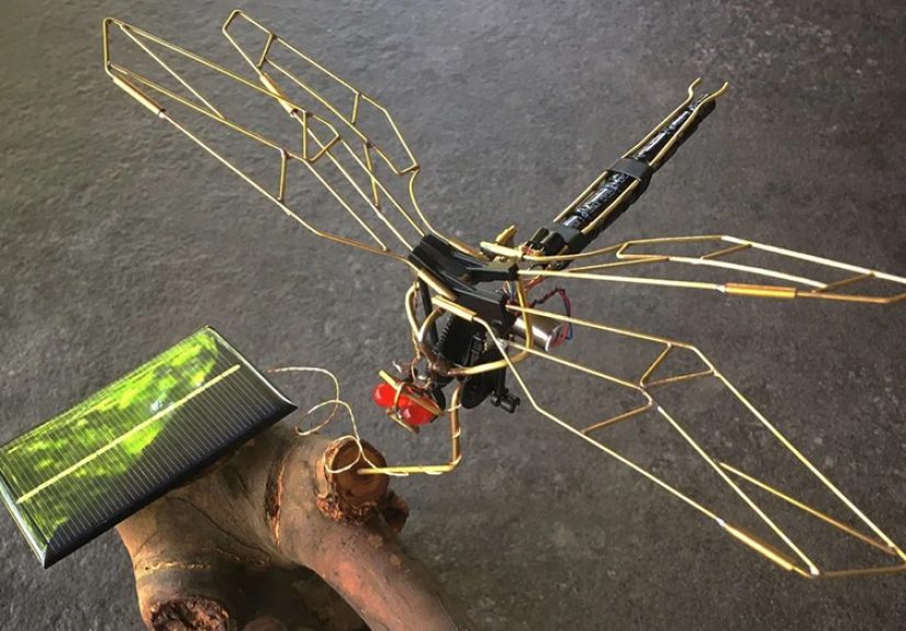 BEAM Dragonfly Causes A Flap