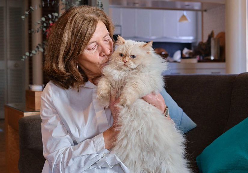 Bird Flu Detected in Cats: What to Know About Risks, Safety