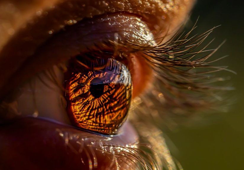 Crohn’s Disease Eyes: How IBD Can Affect Ocular Conditions
