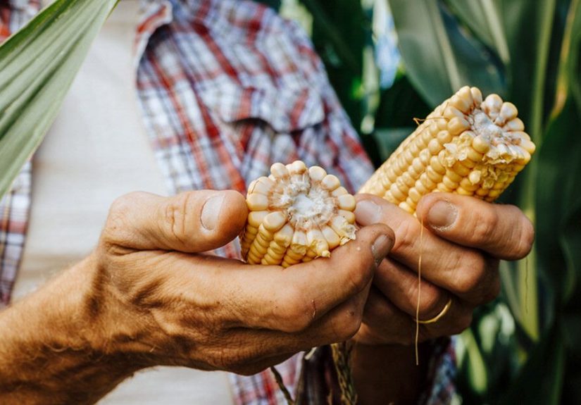 Dealing with Corns on Fingers