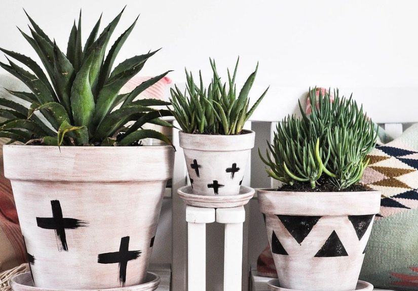 DIY Whitewashed Terra Cotta Pots