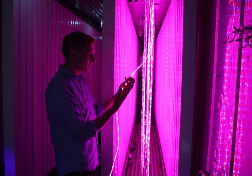 Freight Farms Builds Farms in Shipping Containers, and NASA Wants to Launch Them to Space