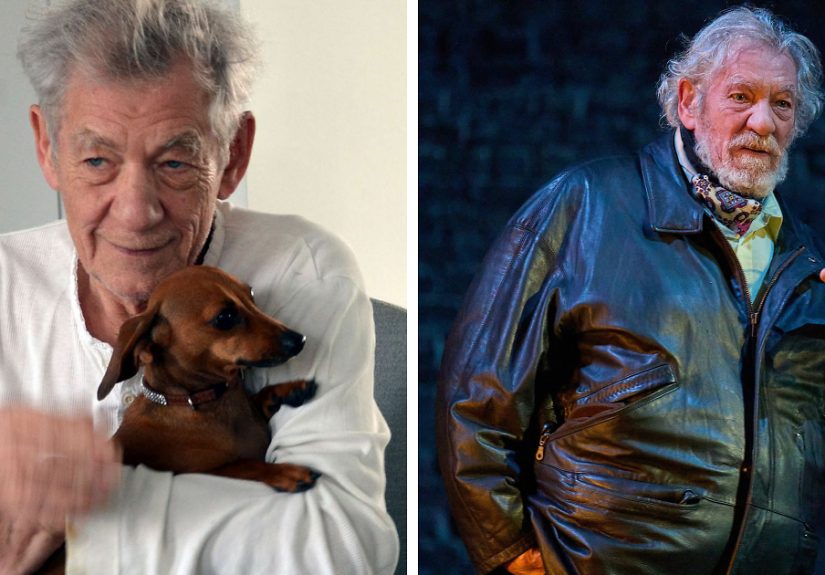 “Help Me, Help Me”: Sir Ian McKellen Screams In Pain After Tumbling Off Stage During Performance