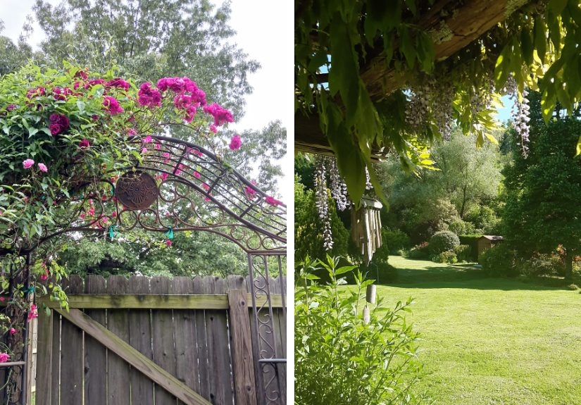 Hey Pandas, Please Show Us A Current Picture Of Your Gardens (Closed)