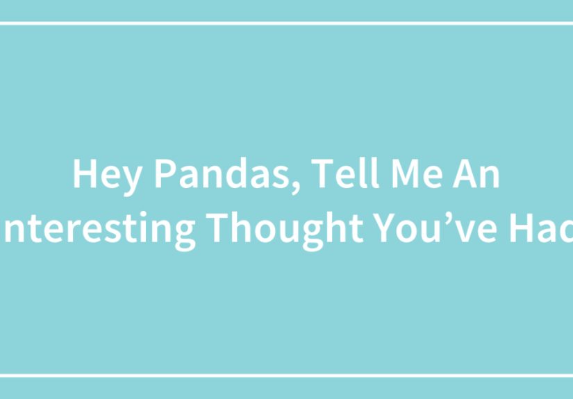 Hey Pandas, Tell Me An Interesting Thought You’ve Had