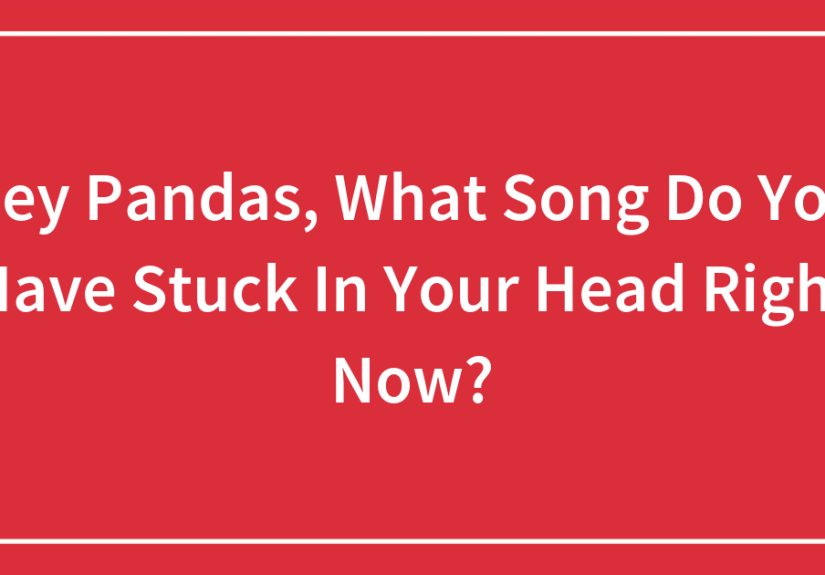Hey Pandas, What Song Do You Have Stuck In Your Head Right Now?