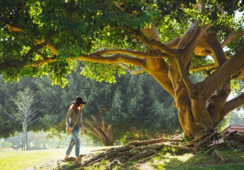 How A Broken Heart Can Be Your Biggest Teacher