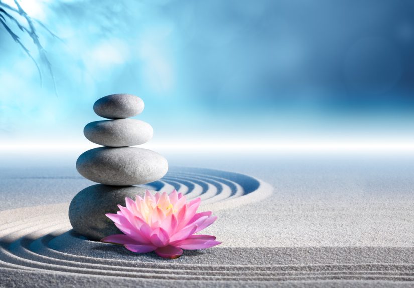 How Choosing Purpose Over Design Transforms Your Life and Destiny