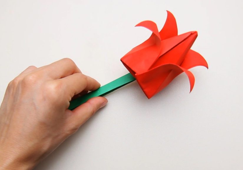 How to Make a Full Paper Tulip