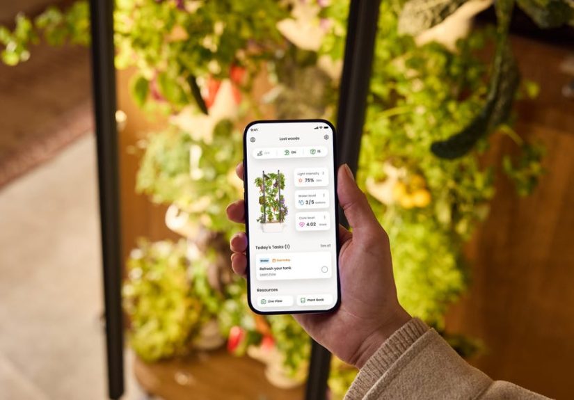 I’m Obsessed with This Indoor Garden I Tested for Our Kitchen Awards