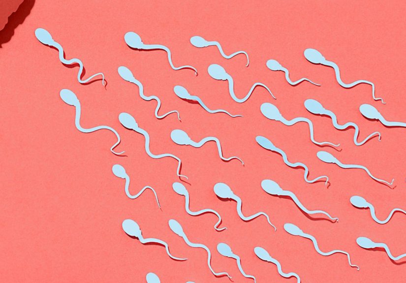 Men With High-Quality Sperm May Have a Longer Life Expectancy