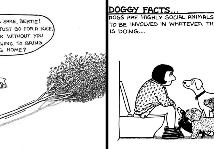 Off The Leash: 40 Relatable Comics About The Reality Of Owning A Dog
