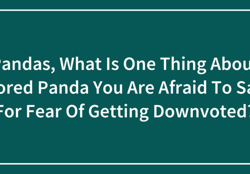 Pandas, What Is One Thing About  You Are Afraid To Say For Fear Of Getting Downvoted?