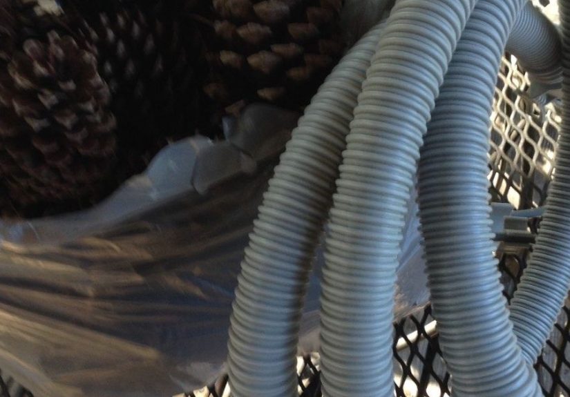 Pine Cone Wreath