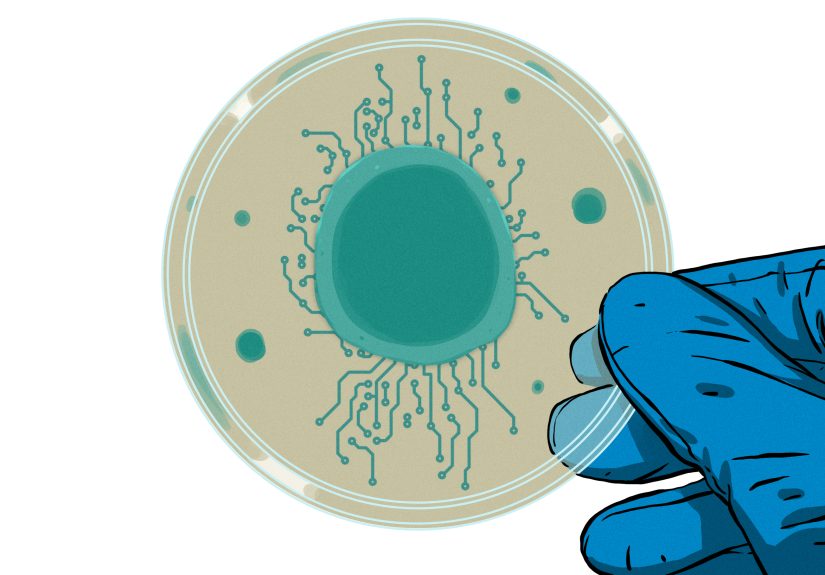 Researchers Build Neural Networks With Actual Neurons