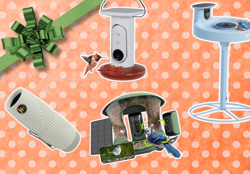 The Best Gifts for Birdwatchers Who Have Everything