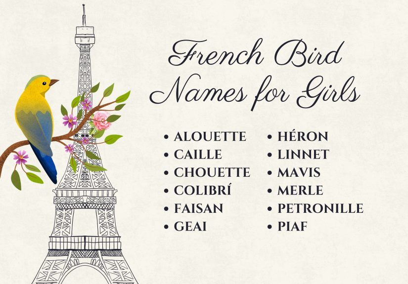 The Ultimate List of Bird Names for Girls (With Meanings)