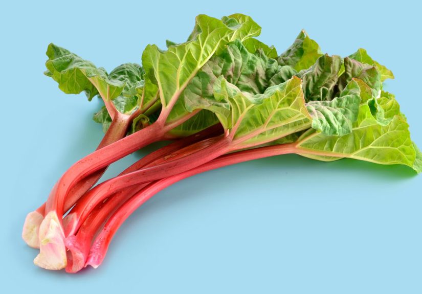 What's the Difference Between Burdock and Rhubarb?